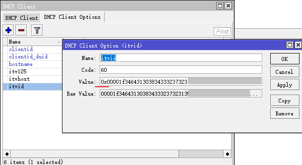 DHCP Client Settings