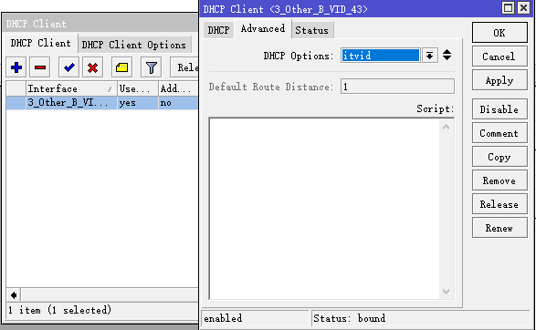 DHCP Client Settings